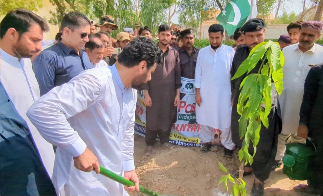 Naseerabad mein Jashn-e-Azadi par monsoon Shajarkari muhim ka iftitah, Sadiq Umrani aur commissioner Noorzai ne paudhe lagaye