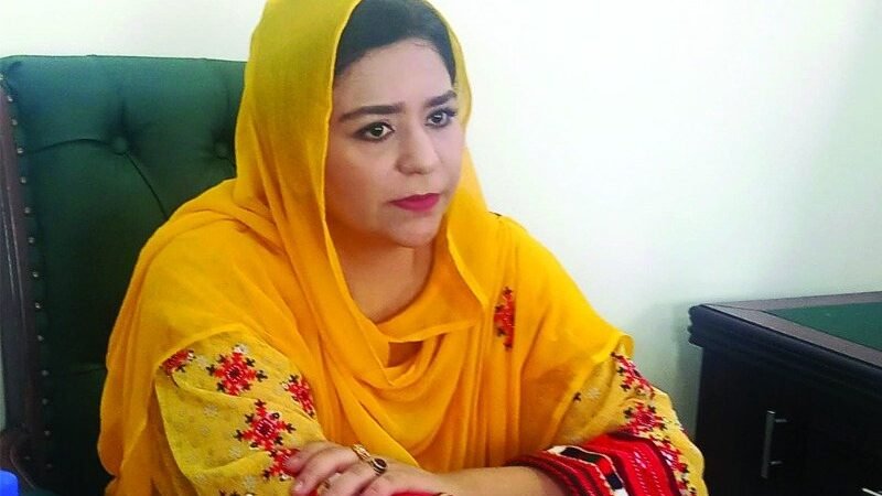 Gadani ship breaking Hong Kong Convention ki jaanib gamzan, Commissioner Lasbela Saira Atta ko BDA ki briefing