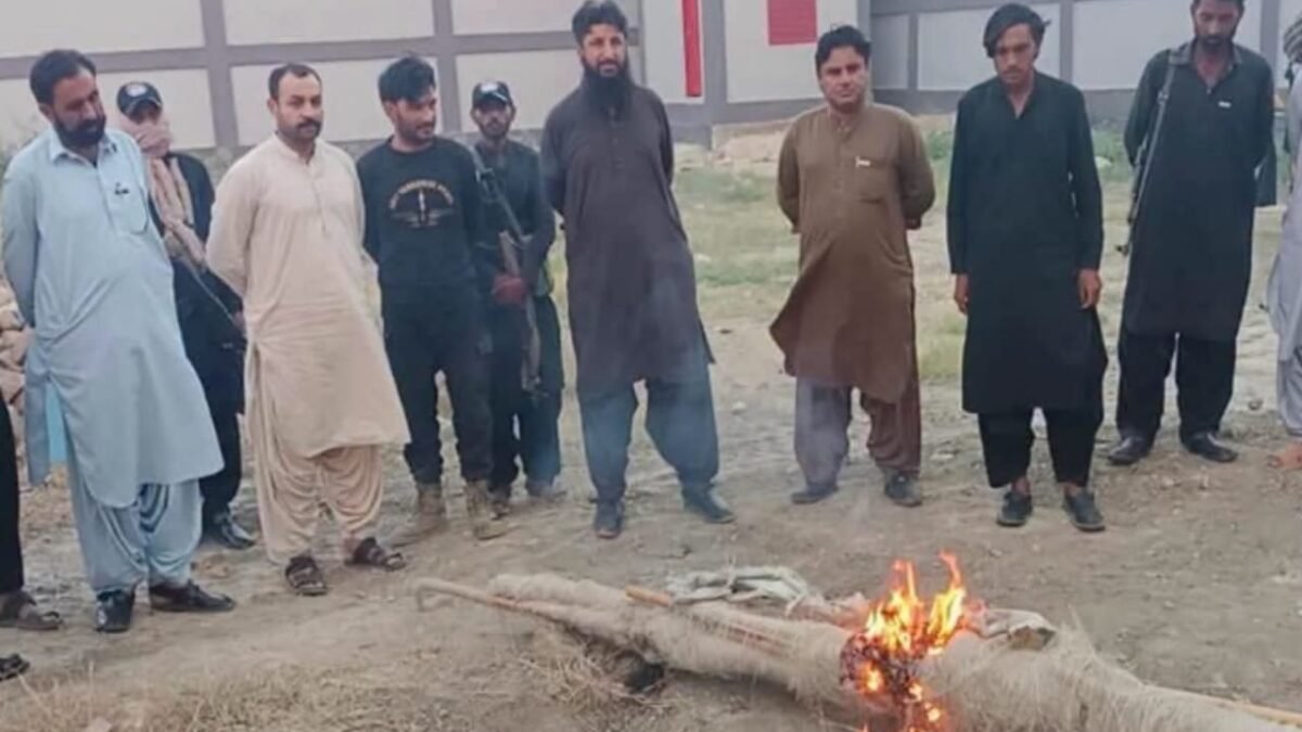 Rukni mein koonj aur bater ke ghair qanooni shikar ke khilaf police aur mahkama jangalat ki karrawai, darjanon jaal talaf