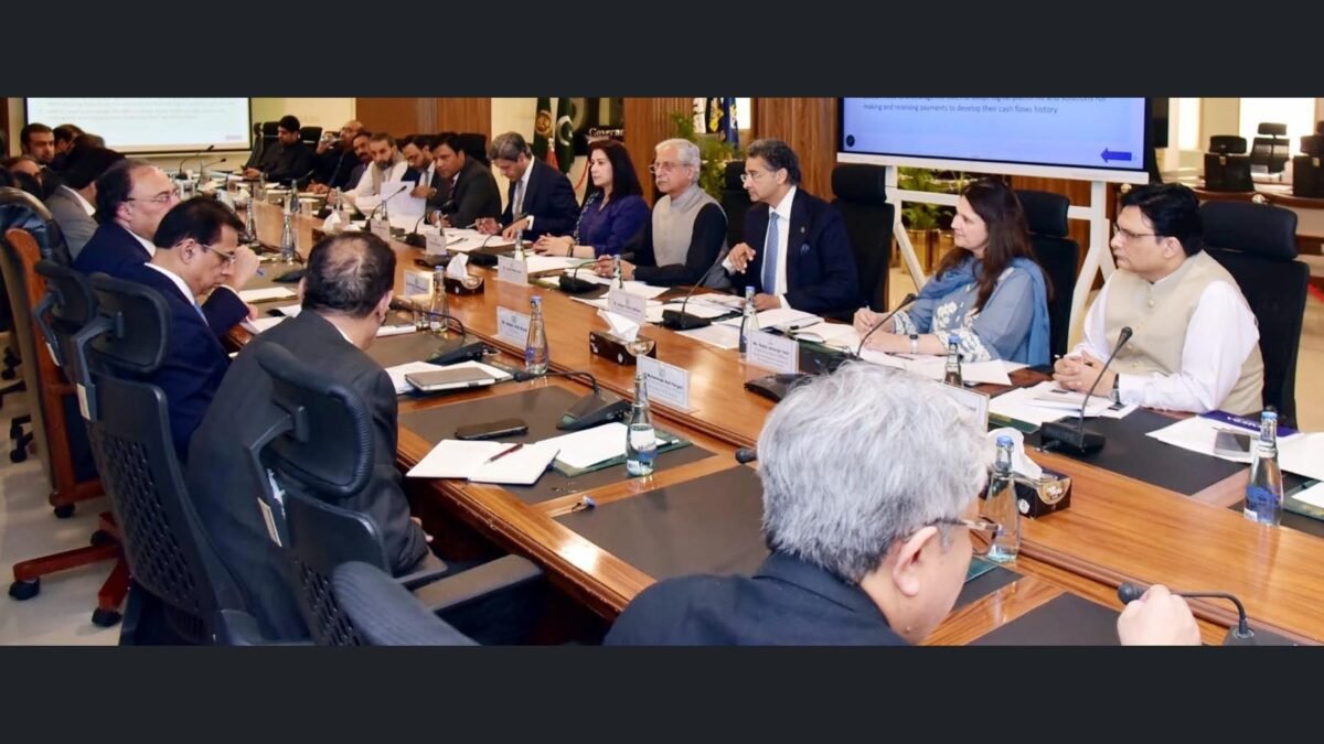 Wazir-e-khazana Aurangzeb: SMEs aur kisanon ko aasan qarzon ki faraahmi taiz karne ki hidayat